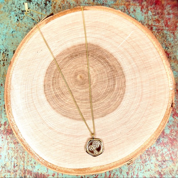 Gold Four Leaf Clover Coin Necklace - Picture 4 of 4